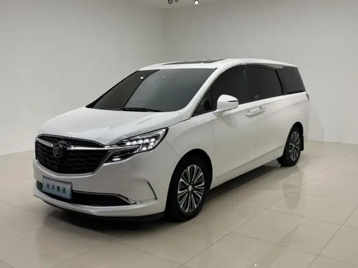 Buick GL8 2021 Model ES Luzun 653T Flagship Model – фото 1