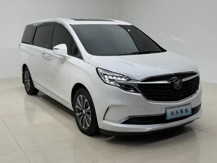 Buick GL8 2021 Model ES Luzun 653T Flagship Model – фото 3