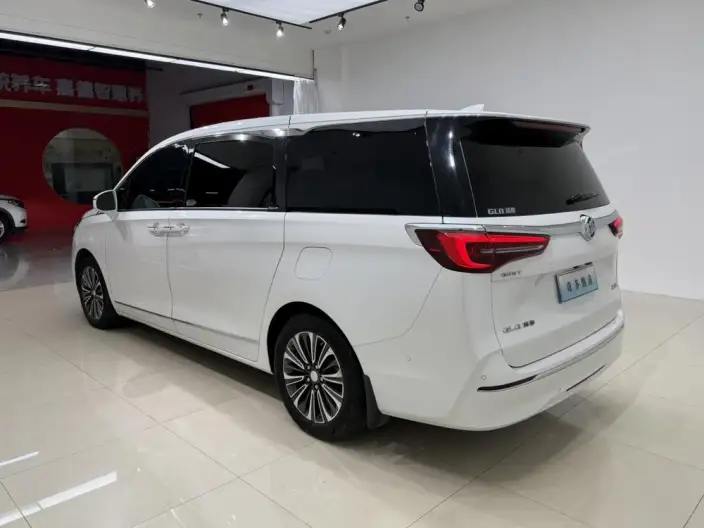 Buick GL8 2021 Model ES Luzun 653T Flagship Model – фото 4