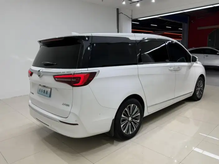 Buick GL8 2021 Model ES Luzun 653T Flagship Model – фото 6