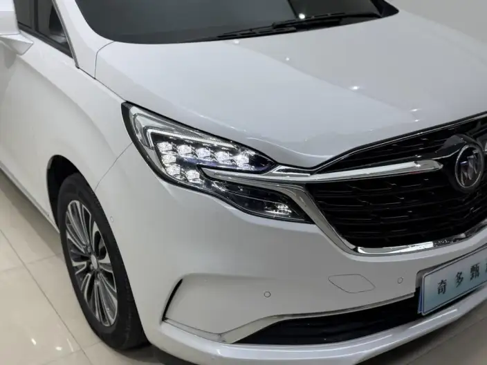Buick GL8 2021 Model ES Luzun 653T Flagship Model – фото 9