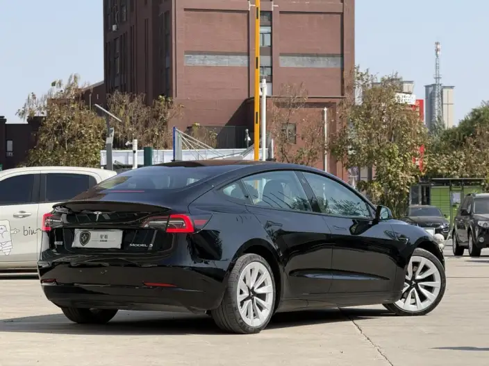 Model 3 2021 Model Standard Battery Life Rear Drive L Class Edition 3D6 – фото 7