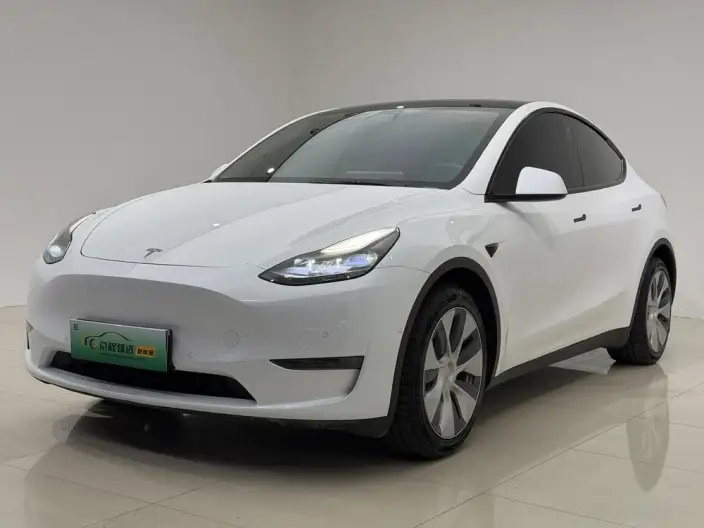 Model Y 2021 Model Standard Battery Life Rear-wheel drive version – фото 1