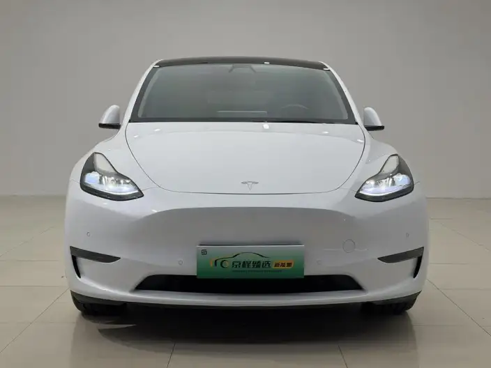 Model Y 2021 Model Standard Battery Life Rear-wheel drive version – фото 2