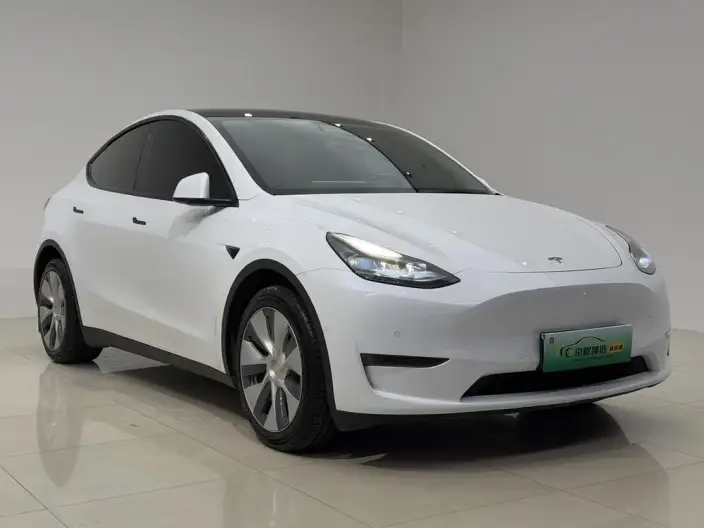 Model Y 2021 Model Standard Battery Life Rear-wheel drive version – фото 3