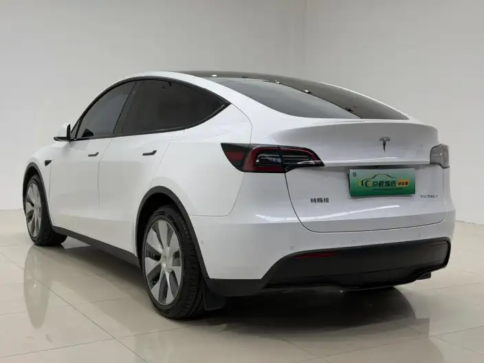Model Y 2021 Model Standard Battery Life Rear-wheel drive version – фото 4