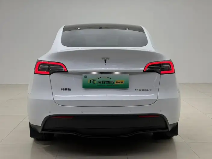Model Y 2021 Model Standard Battery Life Rear-wheel drive version – фото 5