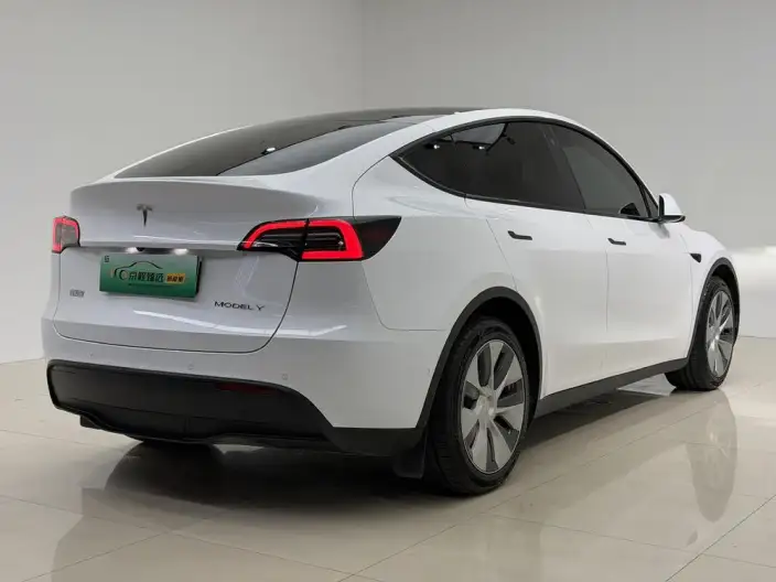 Model Y 2021 Model Standard Battery Life Rear-wheel drive version – фото 6