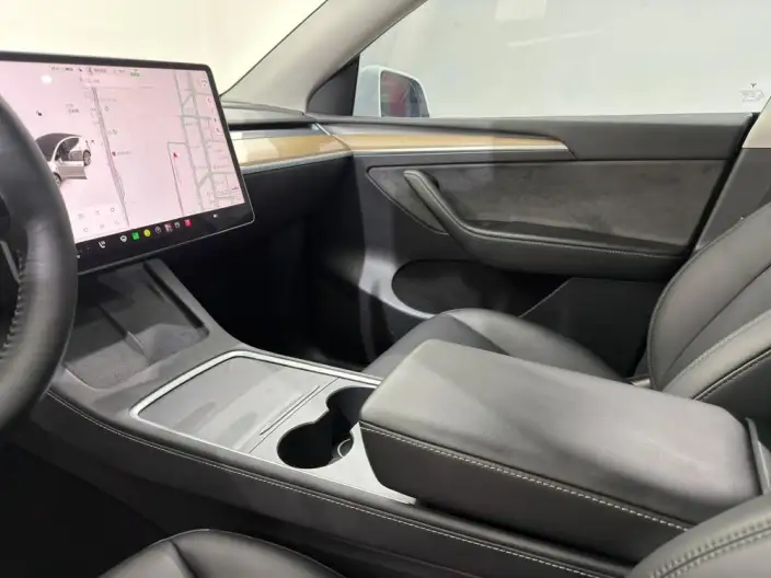 Model Y 2021 Model Standard Battery Life Rear-wheel drive version – фото 9