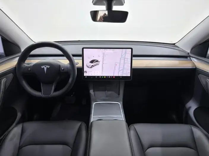 Model Y 2021 Model Standard Battery Life Rear-wheel drive version – фото 10