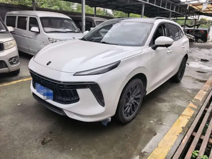 Fengxing T5 EVO 2021 Model 1.5TD DCT Diamond Edition