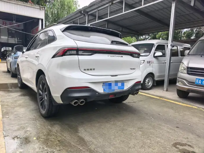 Fengxing T5 EVO 2021 Model 1.5TD DCT Diamond Edition
