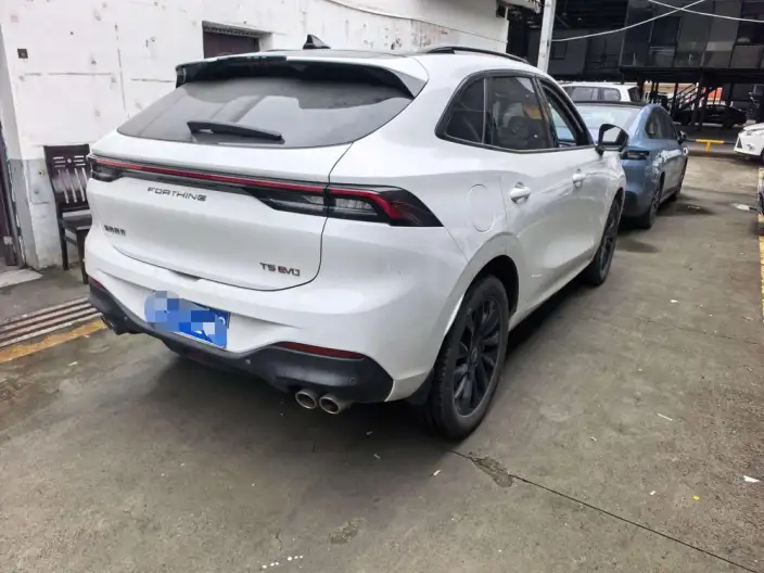 Fengxing T5 EVO 2021 Model 1.5TD DCT Diamond Edition – фото 5