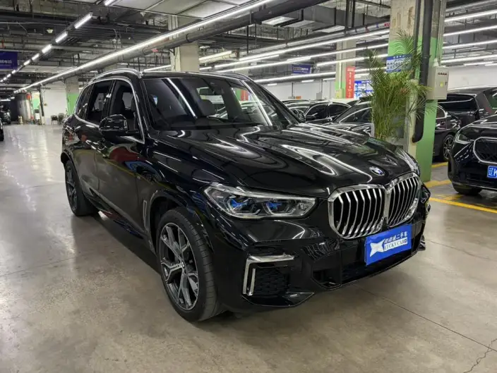 BMW X5 2022 Model Facelift xDrive 40Li M Sports Set – фото 3