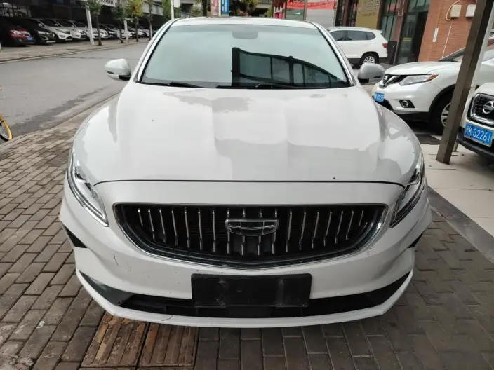 Geely Borui 2021 Model 1.8T Pilot Edition + – фото 2