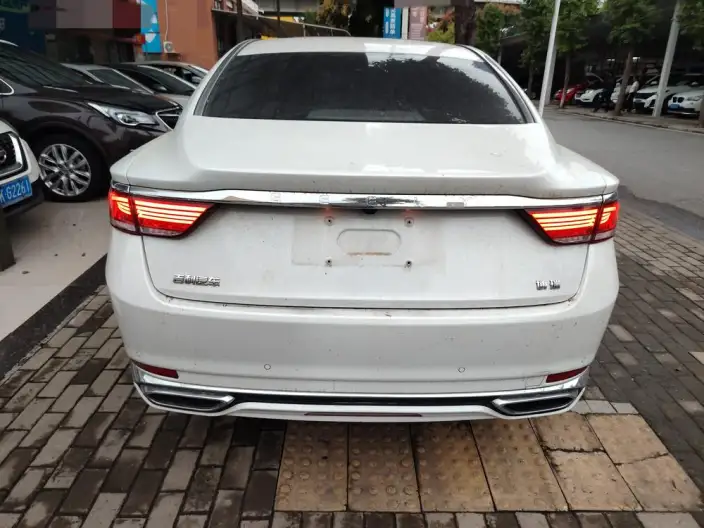 Geely Borui 2021 Model 1.8T Pilot Edition + – фото 3