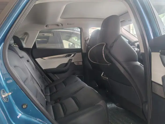 Weltmeister EX5 2020 Model EX5-Z Nex Tiggo Edition – фото 10