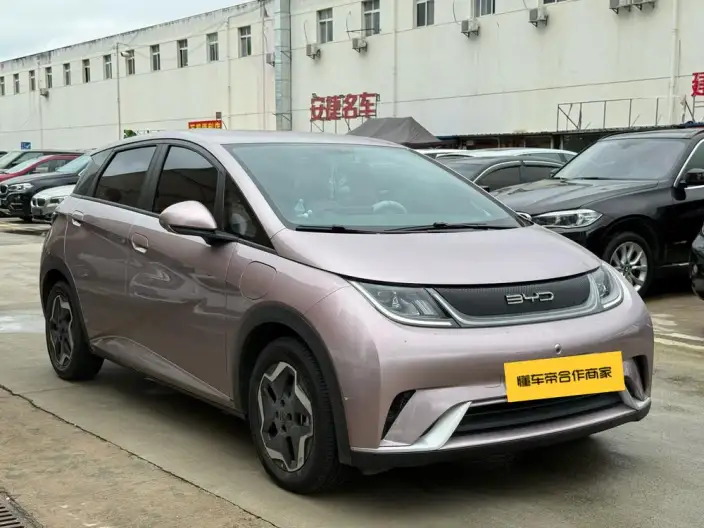 BYD Dolphin 2021 Model Fashion Edition – фото 2