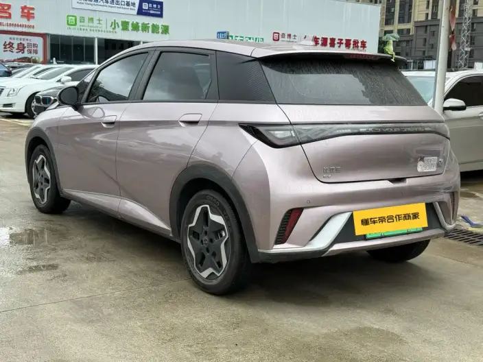 BYD Dolphin 2021 Model Fashion Edition – фото 3