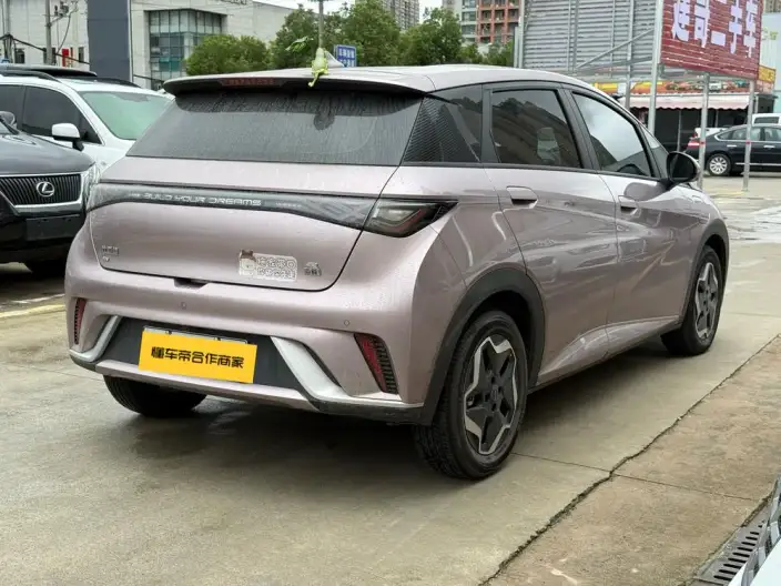 BYD Dolphin 2021 Model Fashion Edition – фото 4