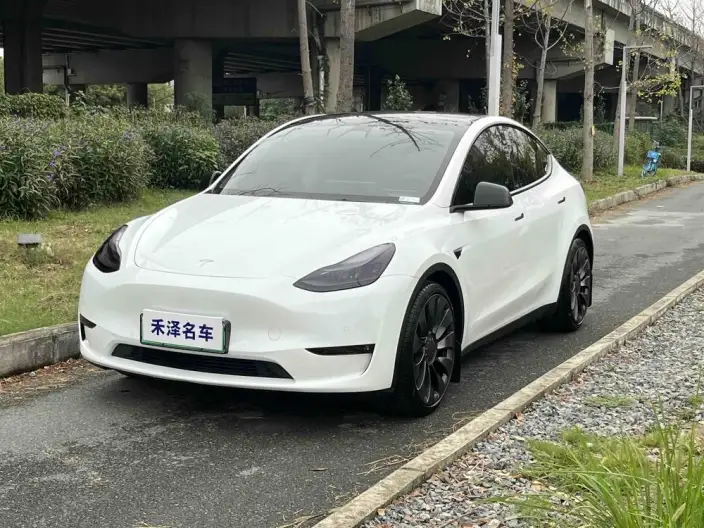 Model Y 2022 Model Performance High performance All-wheel drive version – фото 1