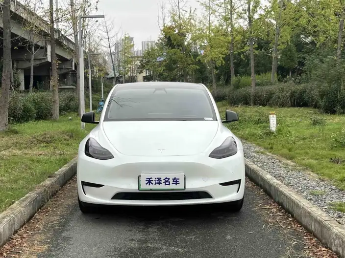 Model Y 2022 Model Performance High performance All-wheel drive version – фото 2