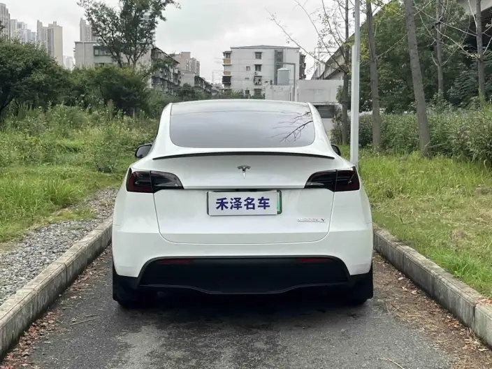 Model Y 2022 Model Performance High performance All-wheel drive version – фото 5