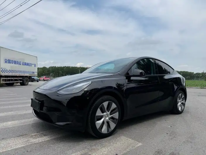 Model Y 2022 Model Facelift Rear-wheel drive version – фото 1