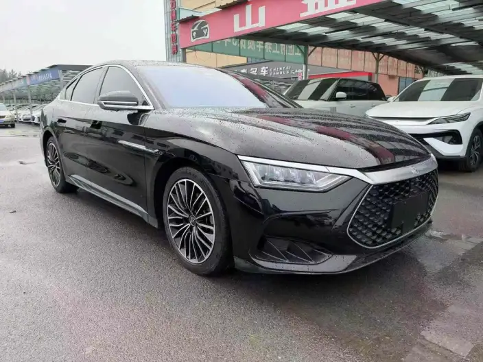 BYD Han DM 2022 Model DM-i 121KM Exclusive Model – фото 3