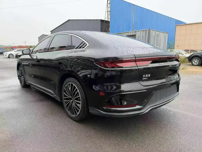 BYD Han DM 2022 Model DM-i 121KM Exclusive Model – фото 4