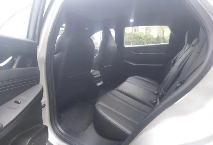 DFM L7 EV 2024 Model 518 Pro – фото 9