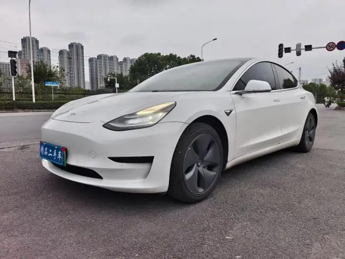 Model 3 2020 Model Standard Battery Life Rear Drive L Class Edition – фото 1