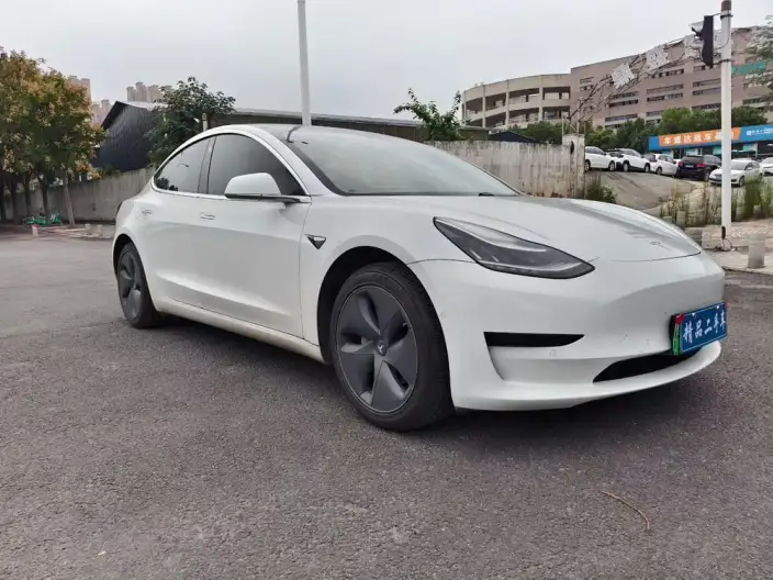 Model 3 2020 Model Standard Battery Life Rear Drive L Class Edition – фото 3