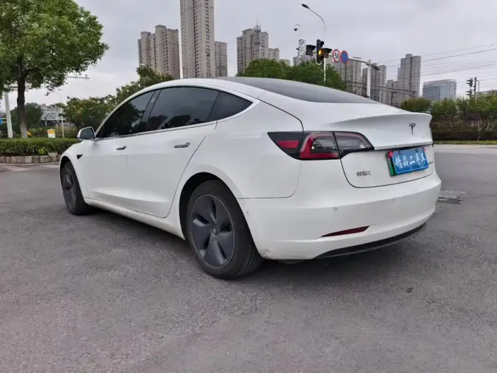 Model 3 2020 Model Standard Battery Life Rear Drive L Class Edition – фото 4