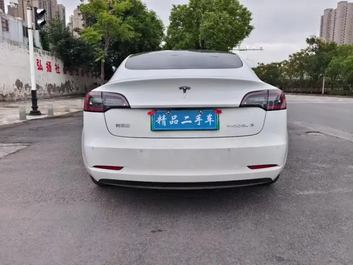 Model 3 2020 Model Standard Battery Life Rear Drive L Class Edition – фото 5