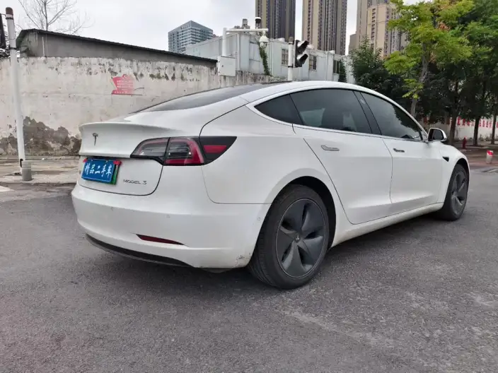 Model 3 2020 Model Standard Battery Life Rear Drive L Class Edition – фото 6