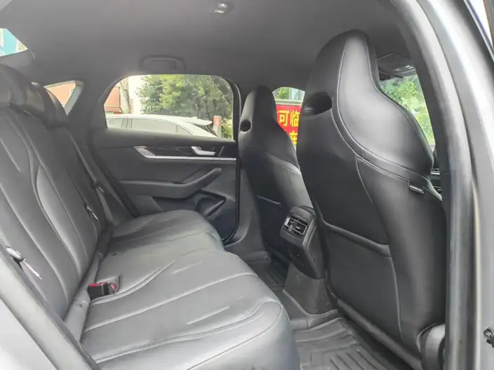 Qin Plus EV 2021 Model 500KM Luxury Model – фото 9