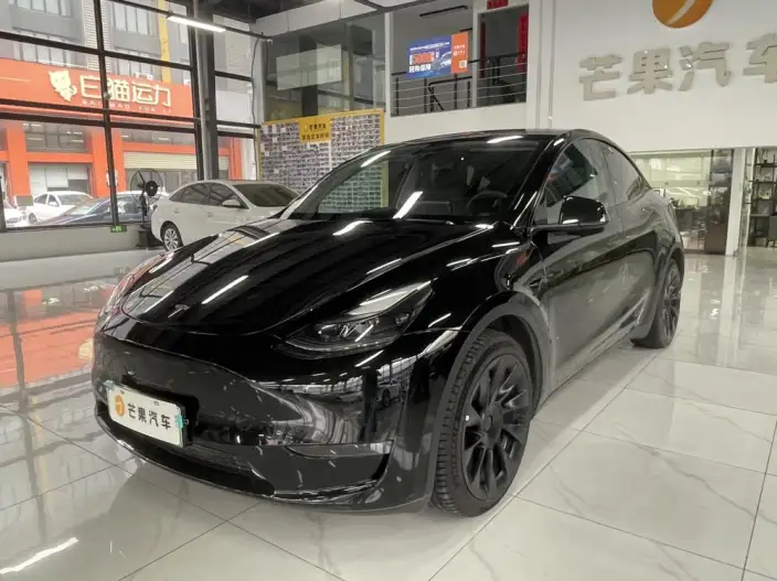 Model Y 2021 Model Facelift Long Battery Life Pro All-wheel drive version