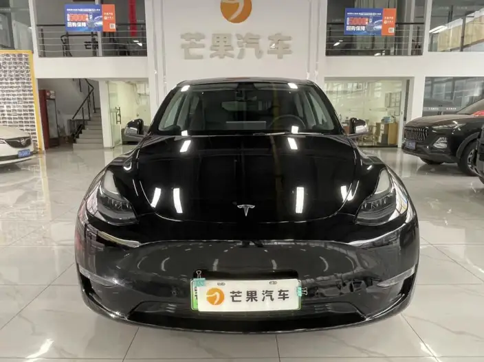 Model Y 2021 Model Facelift Long Battery Life Pro All-wheel drive version