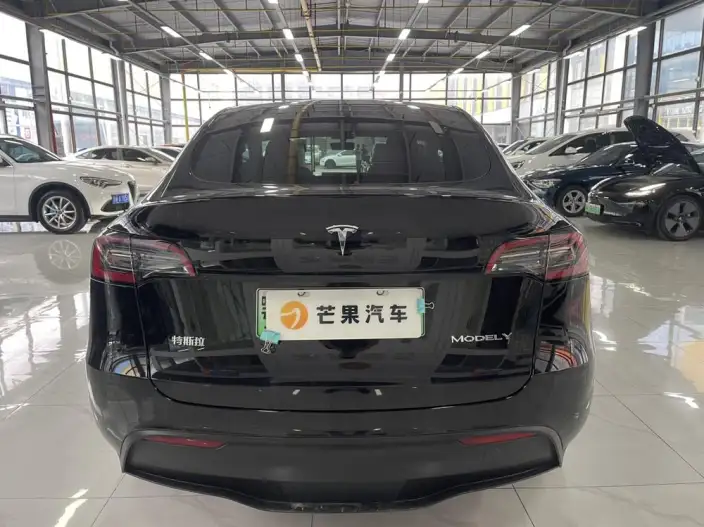 Model Y 2021 Model Facelift Long Battery Life Pro All-wheel drive version – фото 5