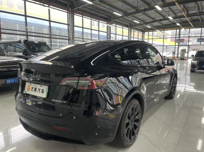 Model Y 2021 Model Facelift Long Battery Life Pro All-wheel drive version – фото 6