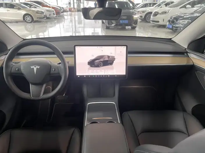 Model Y 2021 Model Facelift Long Battery Life Pro All-wheel drive version – фото 9