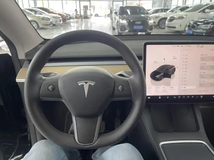 Model Y 2021 Model Facelift Long Battery Life Pro All-wheel drive version – фото 10