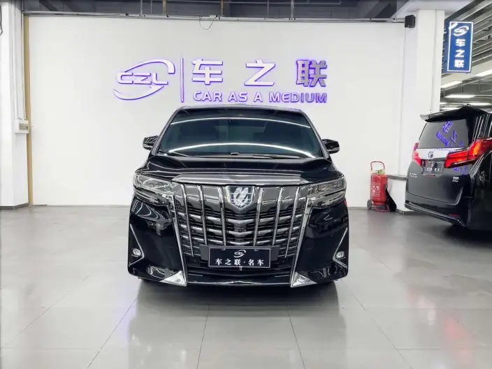 Elfa 2020 Model Hybrid 2.5L Premium Edition – фото 2