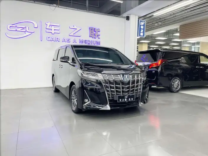 Elfa 2020 Model Hybrid 2.5L Premium Edition – фото 3