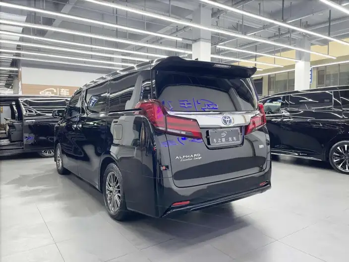 Elfa 2020 Model Hybrid 2.5L Premium Edition – фото 4