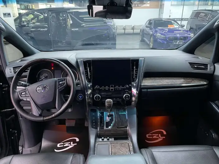 Elfa 2020 Model Hybrid 2.5L Premium Edition – фото 10
