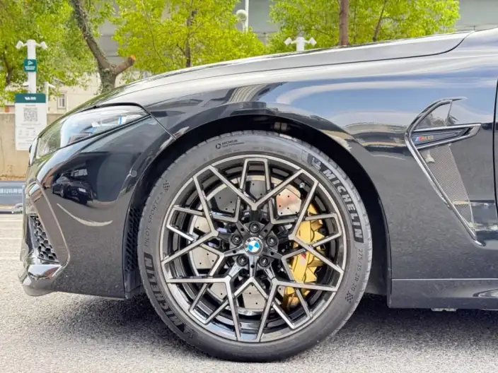 BMW M8 2022 Model M8 Four-door Coupe Thunder Edition – фото 9