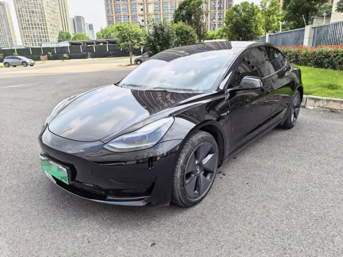 Model 3 2022 Model Rear-wheel drive version – фото 10