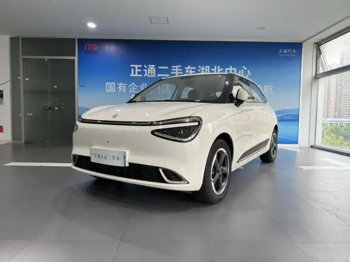 Dongfeng Nano 01 2024 Model 430Plus – фото 1